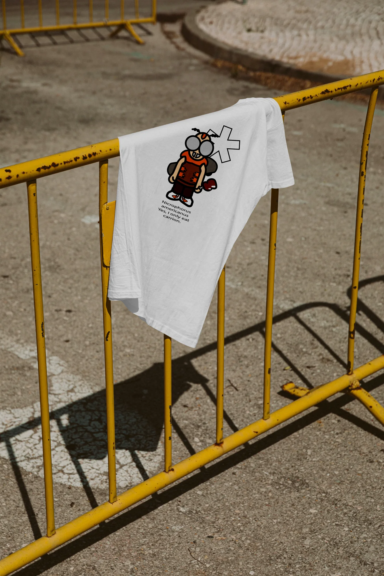 American Burying Beetle identity design